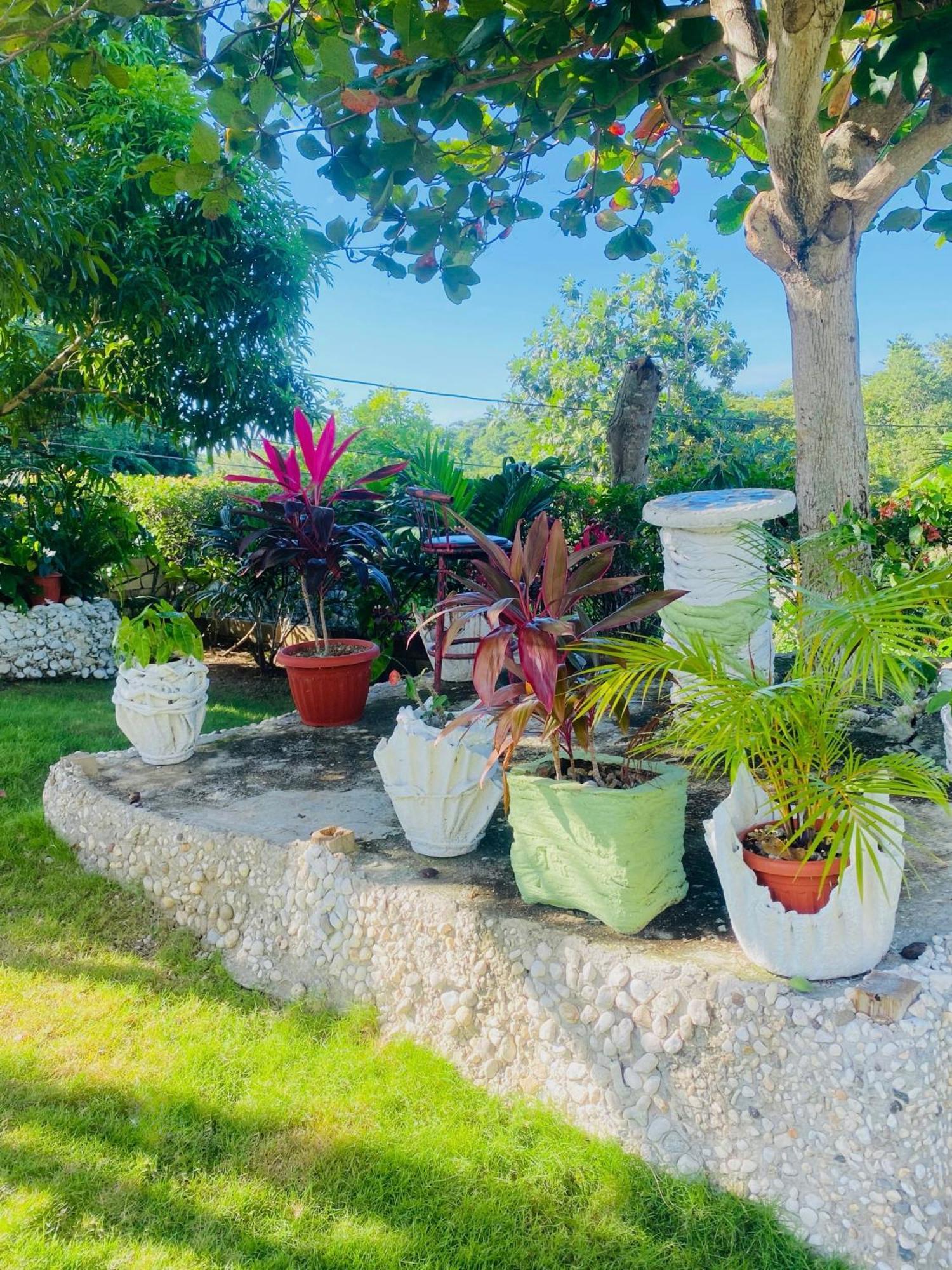 Cindy'S Garden Stay Ocho Rios Exterior foto