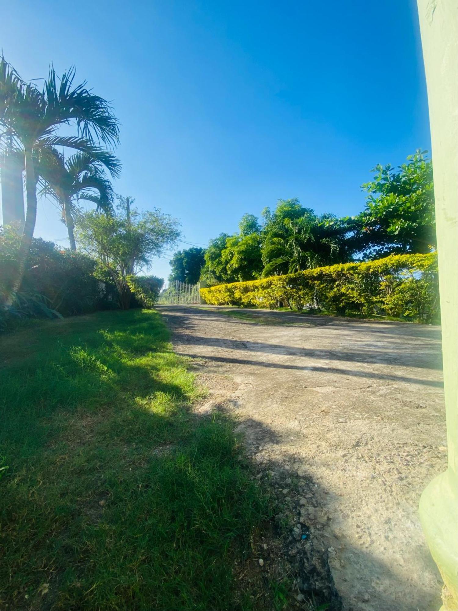 Cindy'S Garden Stay Ocho Rios Exterior foto